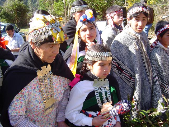 SEA señala que nuevo reglamento sí protege a comunidades indígenas ante denuncia del INDH