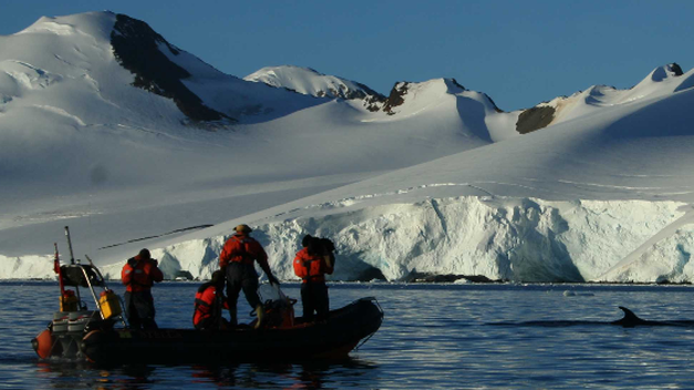 Descubren más de 3 mil formas de vida  en lago de la Antártida