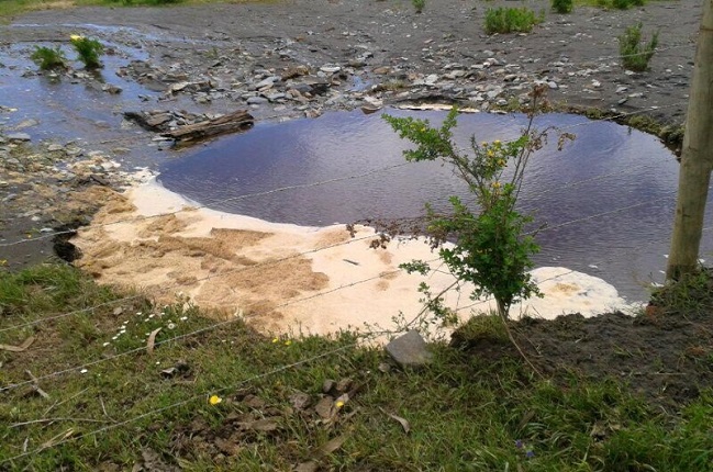 Emergencia ambiental afectó cultivos de Boca Itata en Ñuble