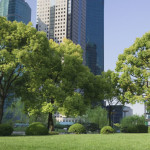 green of city