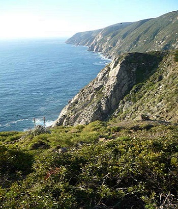 Inician estudio vegetacional en acantilados Santa María de Playa Ancha, en Valparaíso