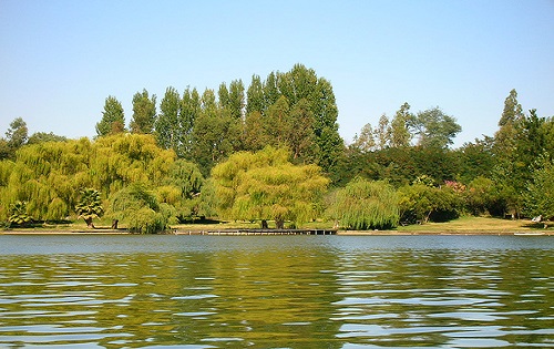 Implementan sistema de barreras para combatir contaminación producida por algas en lago Rapel