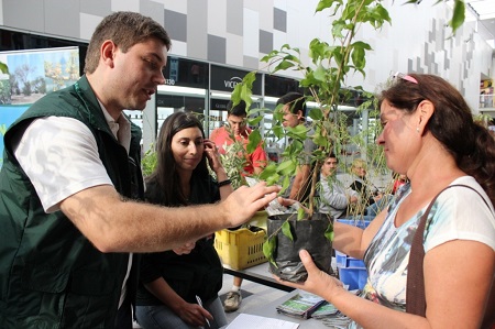 Día Mundial del Árbol: Conaf regalará árboles nativos en centro de Santiago