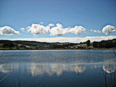 Lanzan proyecto para restauración de Santuario de la Naturaleza Laguna El Peral
