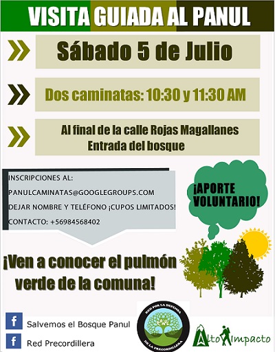Este sábado se realizarán dos visitas guiadas al último bosque nativo de Santiago