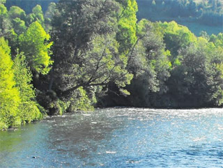 Comunidades mapuches de Curacautín interponen recurso contra hidroeléctrica Alto Cautín