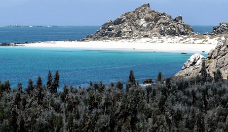 Estudio analiza impactos de ecoturismo en Isla Choros