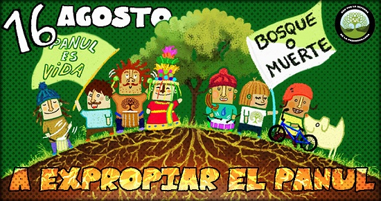 El 16 de agosto se realizará marcha para la protección del último bosque nativo de Santiago