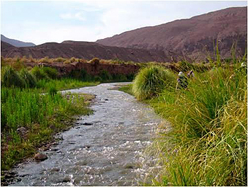 Agricultores piden al gobierno declarar ‘agotado’ caudal de ríos San Pedro y Jauna