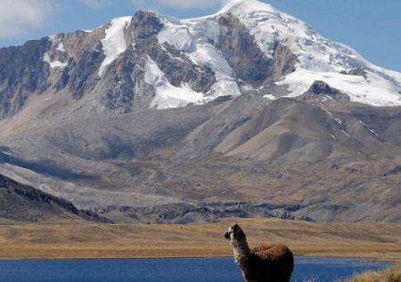 Cambio climático: Superficie de glaciares en Perú disminuyó un 40%