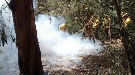 Alerta Amarilla para la Región Metropolitana por incendio forestal en Quebrada de Ramón