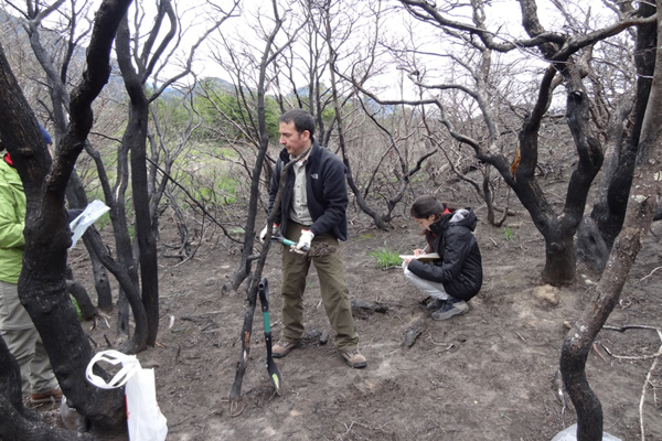 Estudio indica que Cuenca de Torres del Paine presenta un 16% de erosión tras incendio de 2011
