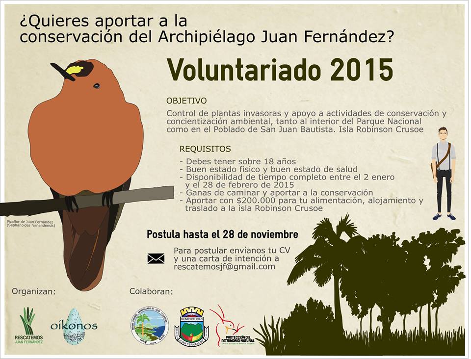 ¿Quieres rescatar Juan Fernández el próximo verano? Postula a un voluntariado de conservación ambiental
