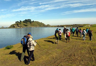 Lanzan concurso especial para proteger humedal de Hualpén en la Región del Bio Bío