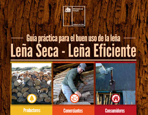 Ministerio de Energía presenta Guía Práctica para el buen uso de la Leña