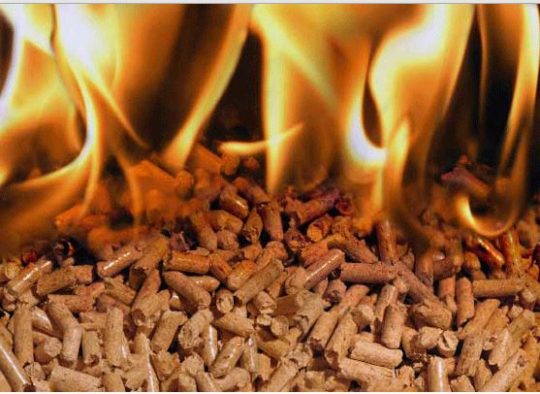 En Concepción proponen biomasa como alternativa eficiente de calefacción
