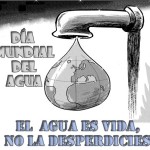 Afiches Día Agua