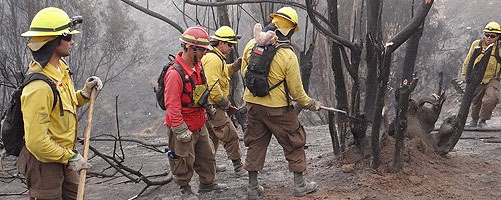 Conaf refuerza brigadas en incendios de reservas naturales de las regiones del Bíobio y la Araucanía