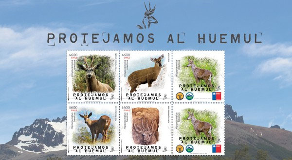 Ministerio de Agricultura y CorreosChile lanzan sello postal ‘Protejamos al Huemul’