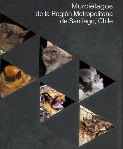 Publican libro sobre los murciélagos de Santiago