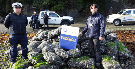 90 toneladas de pesca ilegal incautó Sernapesca en Semana Santa