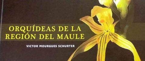 Publican libro de orquídeas de la Región del Maule