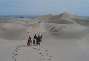 Entregarán 4 mil firmas a alcalde de Quintero en contra de proyecto hotelero en dunas de Ritoque
