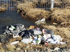 Punta Arenas: Humedal de Tres Puentes nuevamente es víctima de los desechos