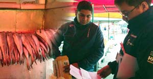 Denuncia ciudadana permitió a Sernapesca incautar 81 kilos de merluza común en feria de Peñalolén