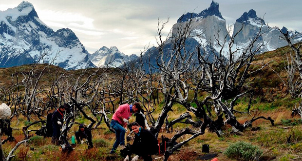 Conaf invita al programa de voluntarios del Parque Nacional Torres del Paine