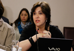 Ex directora de Conama explicó aprobación de galpones de acopio de concentrado en Antofagasta