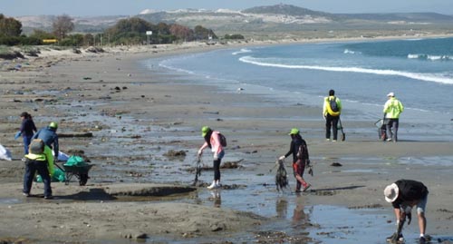 En Tongoy  voluntarios participaron en primera limpieza de playas tras el tsunami