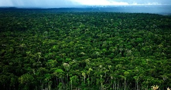 Latinoamérica acudirá a la COP-21 con varios representantes, pero sin una postura conjunta
