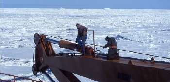 Estudio alerta sobre presencia de arsénico de la minería chilena del cobre en la Antártica