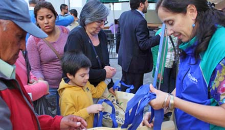 En Concepción el lunes entra en vigencia ordenanza que permite solo tres bolsas plásticas por compra