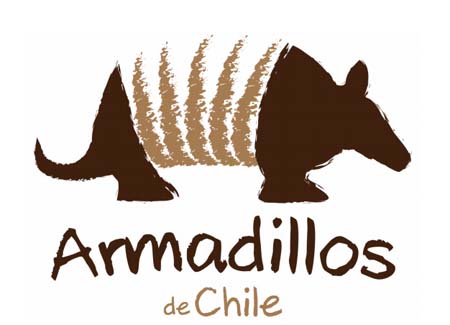 Publican guía para reconocer los armadillos de Chile