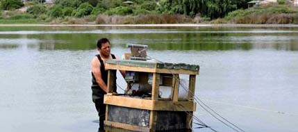 Conaf monitorea descenso del espejo de agua en la laguna El Peral de El Tabo
