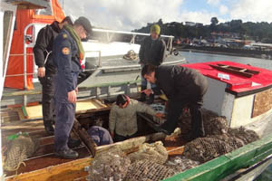 Autoridad Marítima realizó dos incautaciones de pescados y mariscos en el sur del país
