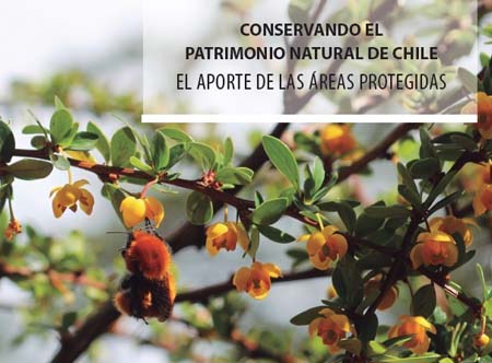 Lanzan libro que aborda el rol de las áreas protegidas en la conservación del patrimonio natural de Chile