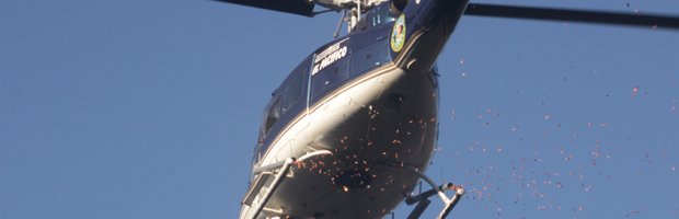 Realizan primera siembra aérea de araucarias en la Reserva China Muerta