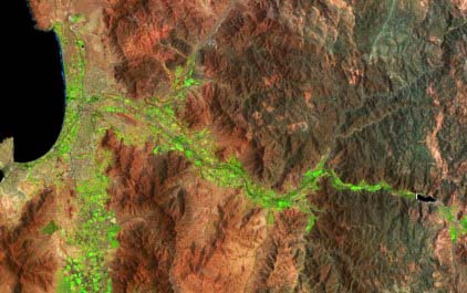 Con información satelital mejoran administración del agua de riego en principales cultivos de Coquimbo