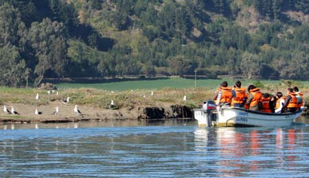 Proyecto FPA impulsa el turismo de observación de aves en desembocadura del río Mataquito