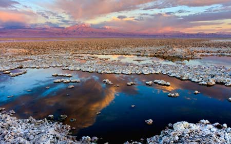Comisión Investigadora de la Cámara sesionará en Salar de Atacama para determinar daño ambiental