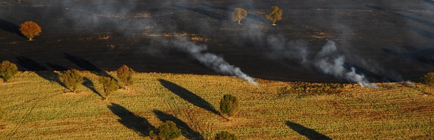 Conaf suspende uso del fuego para quemas agrícolas y forestales en región del Biobío