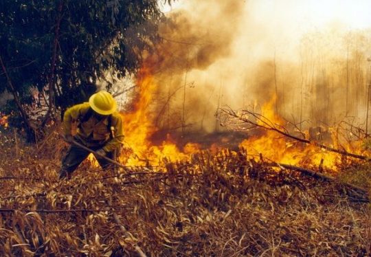 Conaf alerta alto riesgo de incendios forestales durante fin de semana