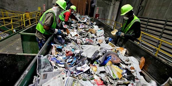 Día del Medio Ambiente: Expertos sitúan la promulgación de Ley de Reciclaje como el mayor hito del año