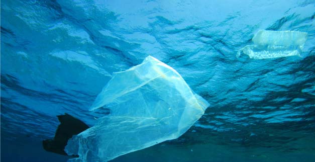 WWF y cadena de supermercados lanzan fondo concursable para iniciativas que reduzcan uso de bolsas plásticas