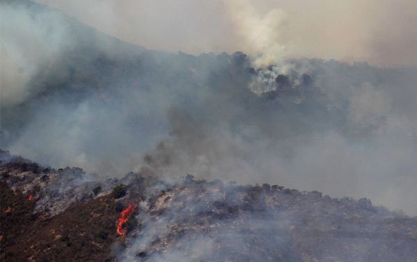 Incendio consume la mitad del nuevo Santuario de la Naturaleza en Maipú