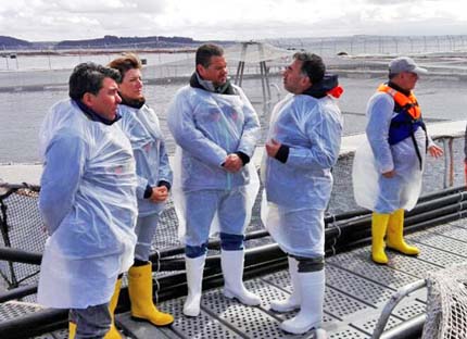 Presentan medidas ante contingencias por mortalidades masivas de salmones