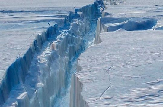Oponerse a adyacente Experto Emergencia climática: los polos están perdiendo hielo seis veces más rápido  que en los '90 - CodeXVerde